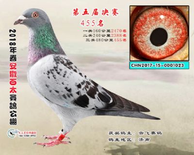 安徽百太决赛455名