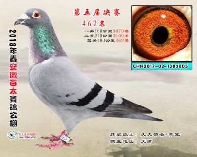 安徽百太决赛462名