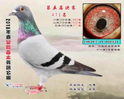安徽百太决赛471名