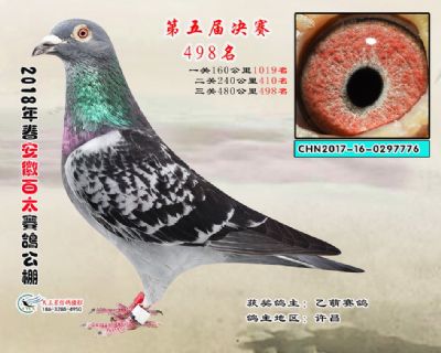 安徽百太决赛498名