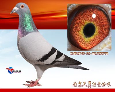 葛斯顿.范德瓦尔 奶酪小子近亲曾孙
