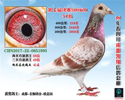 成都凯翔决赛71名