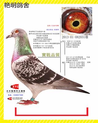 201301082031雄 凡龙X勾嘴