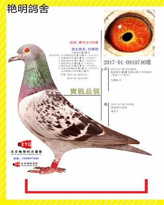 2017010910740雄 桑杰士X勾嘴