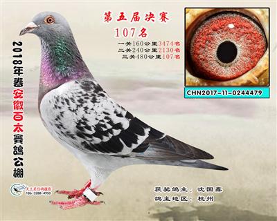 安徽百太决赛107名