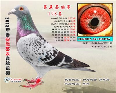 安徽百太决赛198名