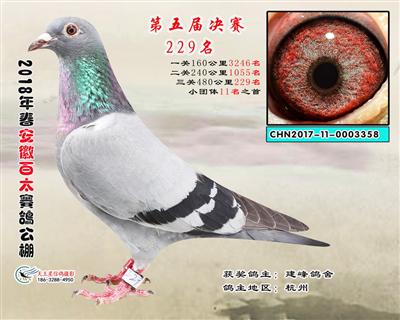 安徽百太决赛229名