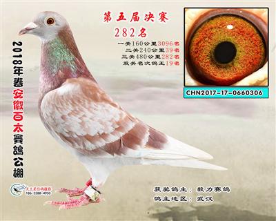 安徽百太决赛282名