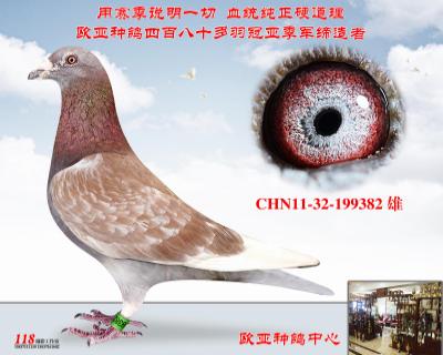 詹森断胸骨老白眼427x红狐520直接作出最高背份