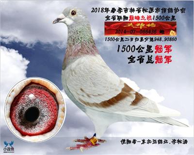 李松涛1500公里冠军