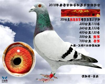 翟威