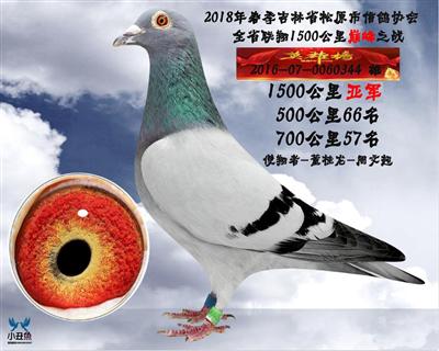 董桂龙1500公里吉林省亚军