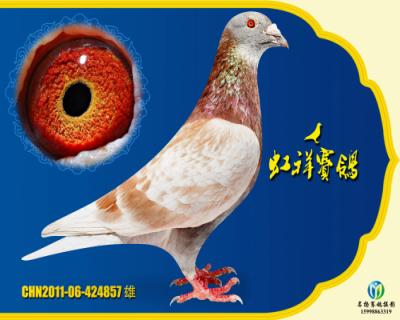 李忠惠红石板近亲