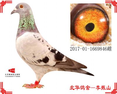 霍夫肯同父异母,2017011669846雌