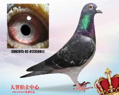 恶劣环境稳定快速【乔司佛卡门】