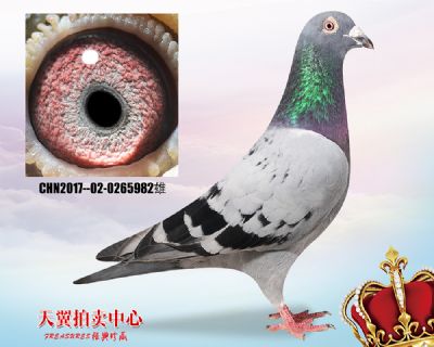任秀夫詹森019近血