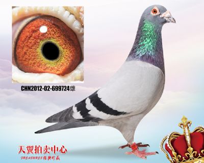奶酪小子【高辈份】回血