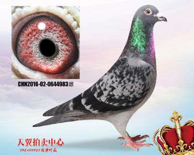 埃米尔.丹尼斯 稳定快速