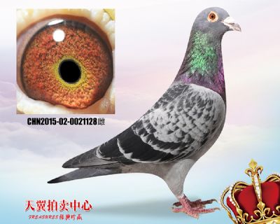 【公棚实战】詹森019近血