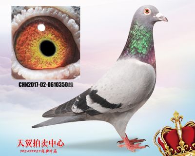 葛斯顿 奶酪小子近亲