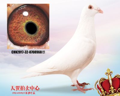 鲁道 小白12近亲