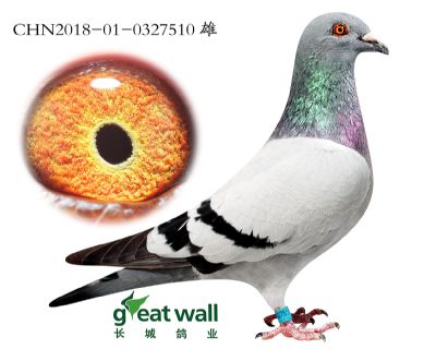 2.速霸龙x奶酪.0327510