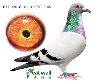 7.速霸龙x鲁道.0327069