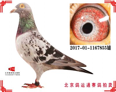 超级73,550公里276名,2017011167855雄