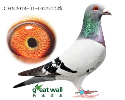 10.新福雷迪x奶酪.0327512