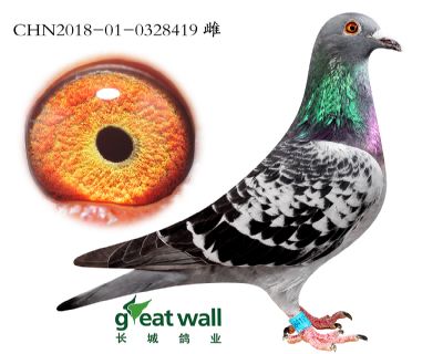 18.劳拉孙代.0328419