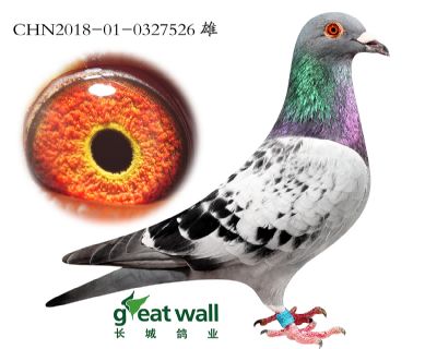 3.气魄x鲁道x零缺陷.0327526