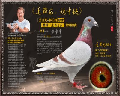 速霸龙804