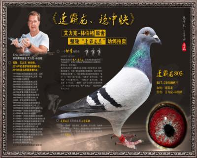 速霸龙805