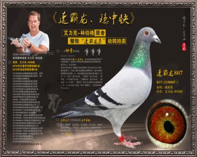 速霸龙807