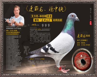 速霸龙808