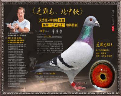 速霸龙815