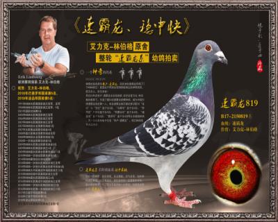 速霸龙819