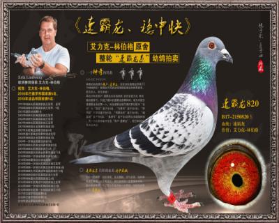 速霸龙820