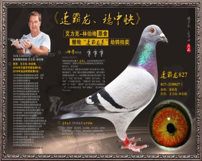 速霸龙827