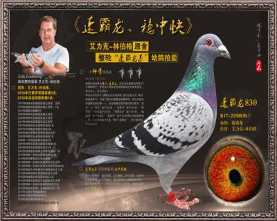 速霸龙830
