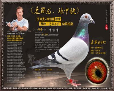 速霸龙832