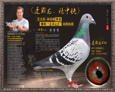 速霸龙836