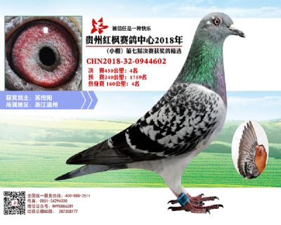 红枫小棚决赛4名