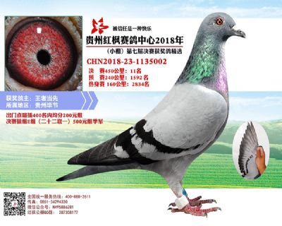 红枫小棚决赛11名