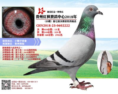 红枫小棚决赛13名