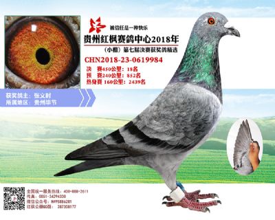 红枫小棚决赛18名