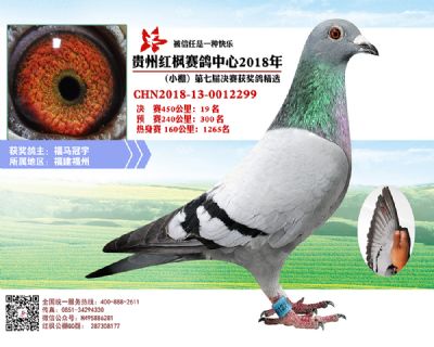 红枫小棚决赛19名