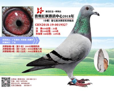 红枫小棚决赛20名