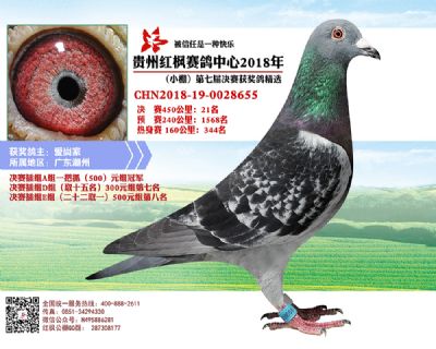 红枫小棚决赛21名