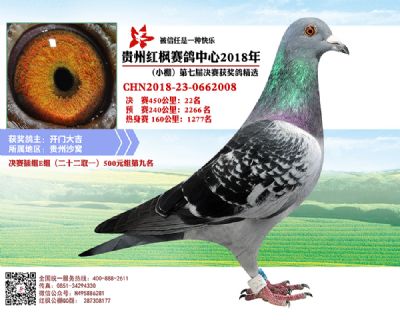 红枫小棚决赛22名